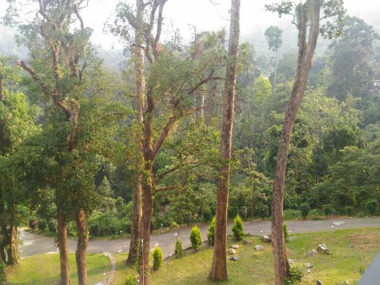 black forest resort munnar review