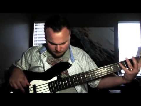 d addario bass strings review